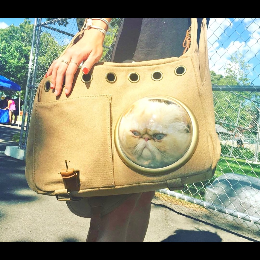 U-Pet bubble carrier cats and dogs